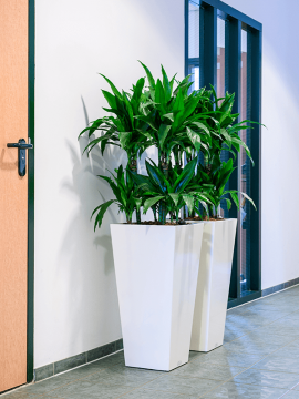 nieuwkoop-planters/6RUNV3510_1