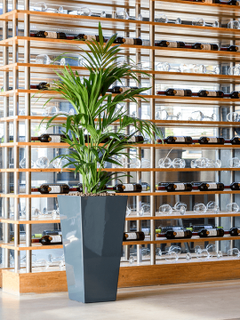 nieuwkoop-planters/6RUNV3516_1