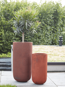 nieuwkoop-planters/6STA5936B_1