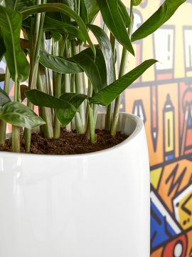 nieuwkoop-planters/6TIME5094_2