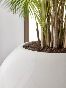 nieuwkoop-planters/6TIMG5748_2