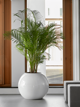 nieuwkoop-planters/6TIMG7865_1