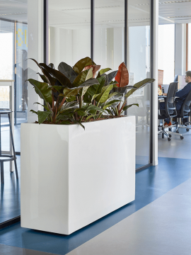 nieuwkoop-planters/6TIMR8075_1