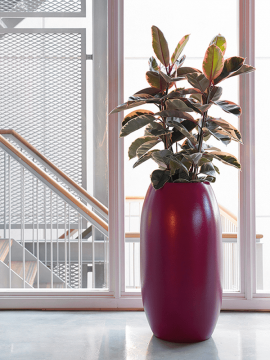 nieuwkoop-planters/6TOP00210_2