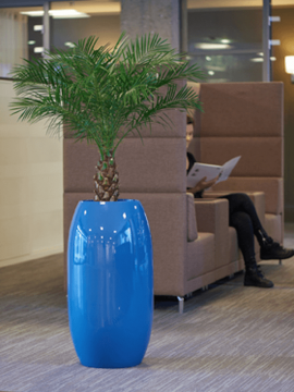 nieuwkoop-planters/6TOP00360_3