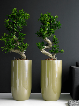 nieuwkoop-planters/6TOP00570_1