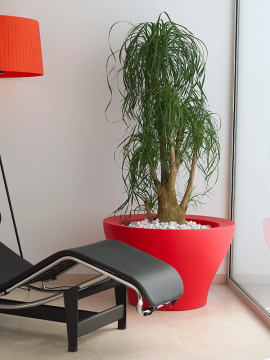nieuwkoop-planters/6VONCENB2_1