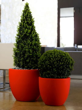 nieuwkoop-planters/6VONCUES1_1