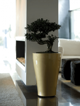 nieuwkoop-planters/6VONCURB3_2