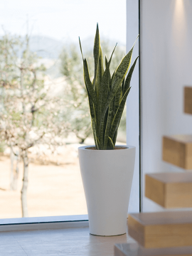 nieuwkoop-planters/6VONCURB3_3