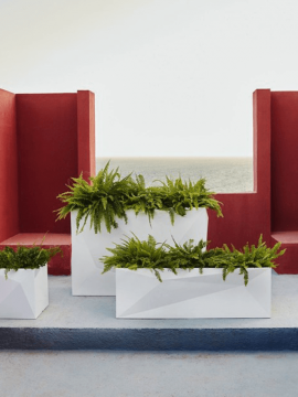 nieuwkoop-planters/6VONFAZW2_1