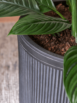 nieuwkoop-planters/6VRCA0024_2