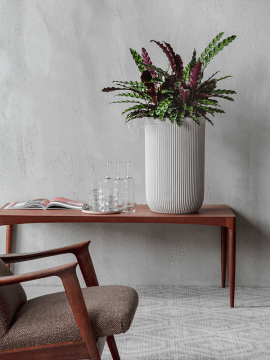 nieuwkoop-planters/6VRCB0047_1