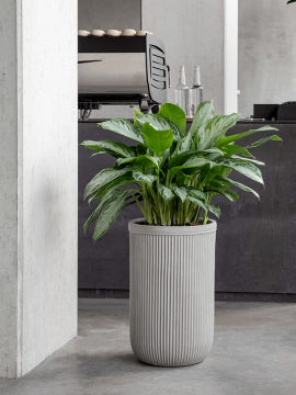 nieuwkoop-planters/6VRCB0047_2