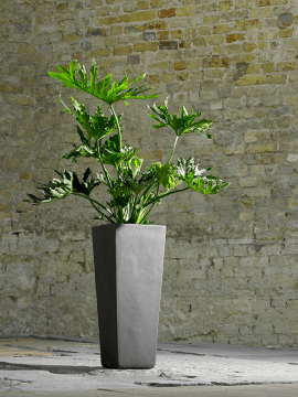 nieuwkoop-planters/6ZWKKU940_1