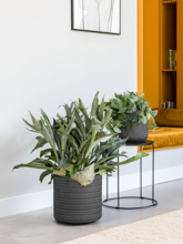Кашпо Angle (Cylinder Anthracite) Арт: 6ANGCY24A 3