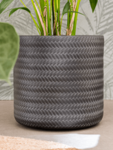 Кашпо Angle (Cylinder Anthracite) Арт: 6ANGCY30A 2