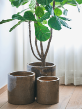 Кашпо Honest (Orchidpot Kaki) Арт: 6DMP6096K 1