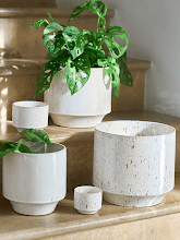 Кашпо Java (Orchidpot White) Арт: 6DMP6444W 1