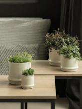 Кашпо Hurl (Orchidpot Creme) Арт: 6DMP6692C 1