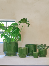 Кашпо Luuk (Orchidpot Khaki) Арт: 6DMP7336G 1