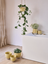 Кашпо Split (Orchidpot Butter) Арт: 6DMP7628B 1