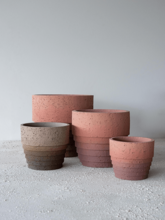 Кашпо Cinnamon (Orchidpot Terracotta) Арт: 6DMP790TC 2