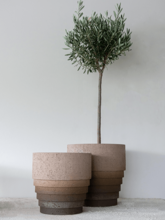 Кашпо Cinnamon (Pot Black Brown) Арт: 6DMP793AZ 1