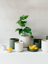 Кашпо Kos (Orchidpot Khaki) Арт: 6DMPB750K 2
