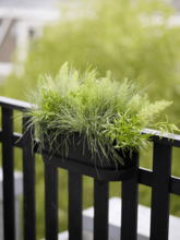 Кашпо Greenville (Easy Balcony Living Black) Арт: 6ELHGR216 1