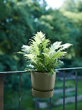 Кашпо Greenville (Easy Hanger Single Leaf Green) Арт: 6ELHGRH22 1