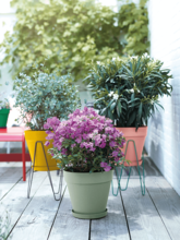 Кашпо Loft Urban (Round Delicate Pink) Арт: 6ELHUP200 1