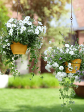 Кашпо Vibia (Campana Hanging Basket Honey Yellow) Арт: 6ELHVB26Y 1