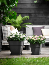 Кашпо Vibia (Campana Square Anthracite) Арт: 6ELHVBV7A 1