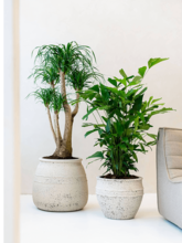 Кашпо Mediterranean (Athena M Chalk White) Арт: 6FSTME030 1