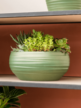 Кашпо Groove (Bowl Monaco Stone Pearl Green) Арт: 6LOK7312B 2