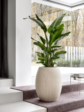 Кашпо Polystone Coated Plain (Balloon Natural (with liner)) Арт: 6PSC464NT 1