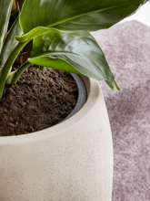 Кашпо Polystone Coated Plain (Balloon Natural (with liner)) Арт: 6PSC465NT 2