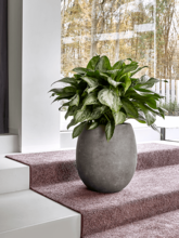Кашпо Polystone Coated Plain (Balloon Raw Grey (with liner)) Арт: 6PSC465RG 1