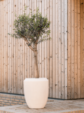 Кашпо Polystone Coated Plain (Coppa Natural (with liner)) Арт: 6PSC469NT 1