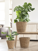 Кашпо Jip (Pot Natural) Арт: 6PTR62353 1