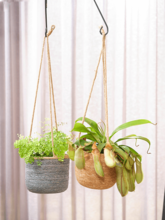 Кашпо Igmar (Hanger Natural) Арт: 6PTR62850 1