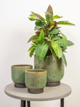 Кашпо Linn (Pot Deep Green) Арт: 6PTR67250 1