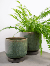 Кашпо Linn (Pot Deep Green) Арт: 6PTR67251 1