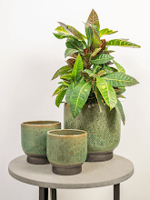 Кашпо Linn (Pot Deep Green) Арт: 6PTR67253 1