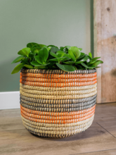 Кашпо Jane (Pot Desert (set of 5)) Арт: 6PTR69455 1