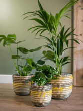 Кашпо Jane (Pot Savana (set of 5)) Арт: 6PTR69457 1