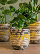 Кашпо Jane (Pot Savana (set of 5)) Арт: 6PTR69457 2