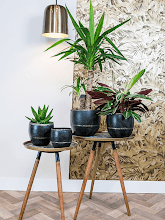 Кашпо Belia (Pot Vintage Black (set of 4)) Арт: 6PTR69810 1