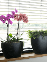 Кашпо Belia (Planter Vintage Black (set of 3)) Арт: 6PTR69812 2